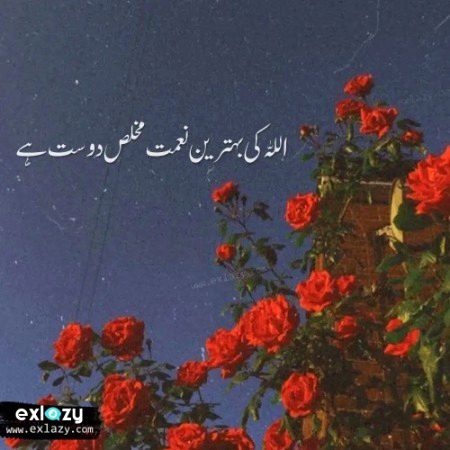 Islamic Quotes image