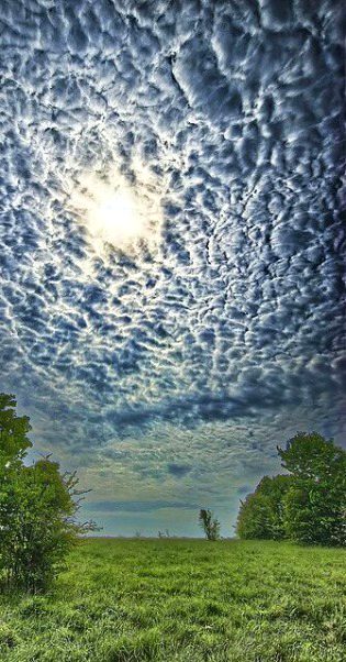 Beautiful Nature image