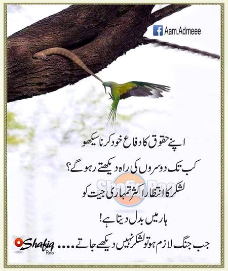 Motivational Quotes image