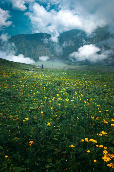 Beautiful Nature image