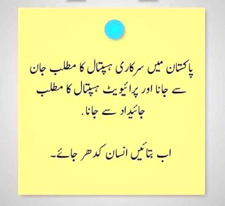 Memes & Satire image