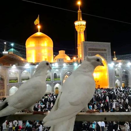 Beautiful Structures image