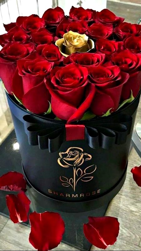 Beautiful Nature image