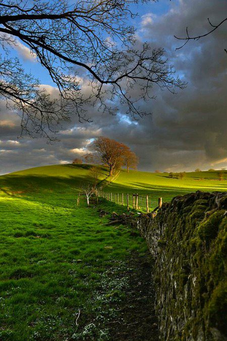 Beautiful Nature image