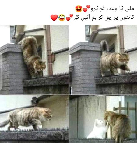 Social media post