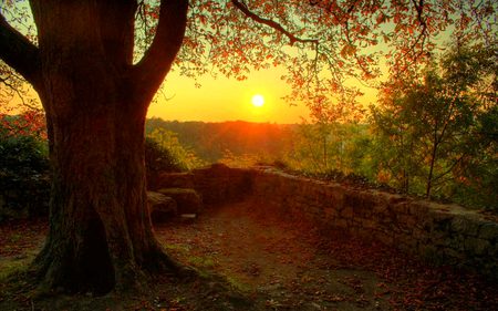 Beautiful Nature image