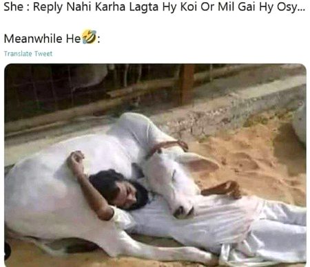 Memes & Satire image