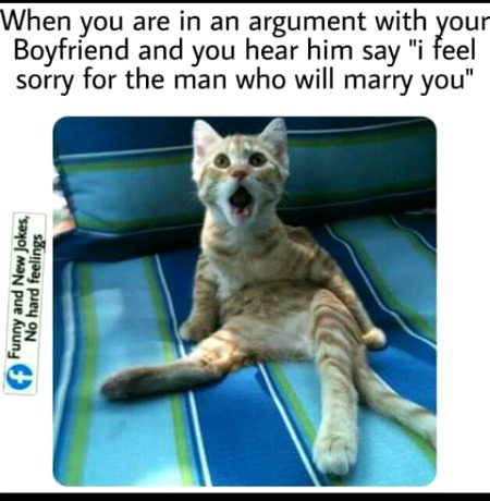 Memes & Satire image