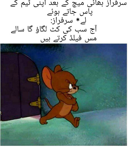 Memes & Satire image