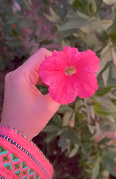 Beautiful Nature image