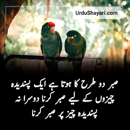 Motivational Quotes image