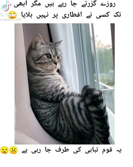 Social media post