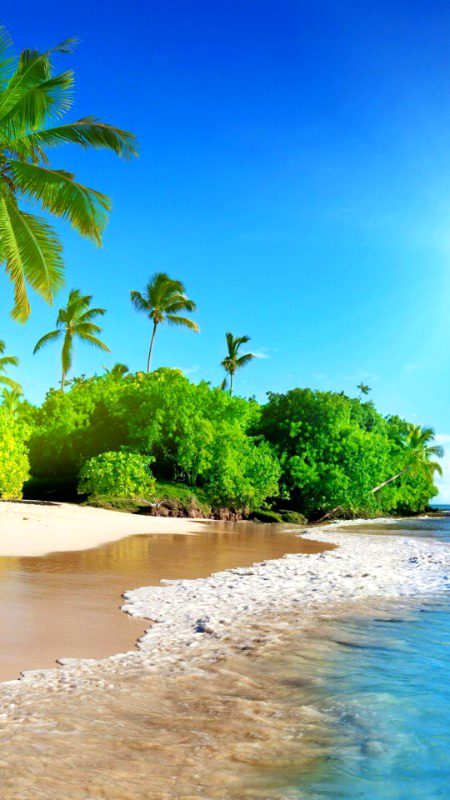 Beautiful Nature image