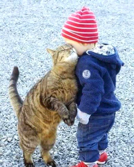 Beautiful Nature image