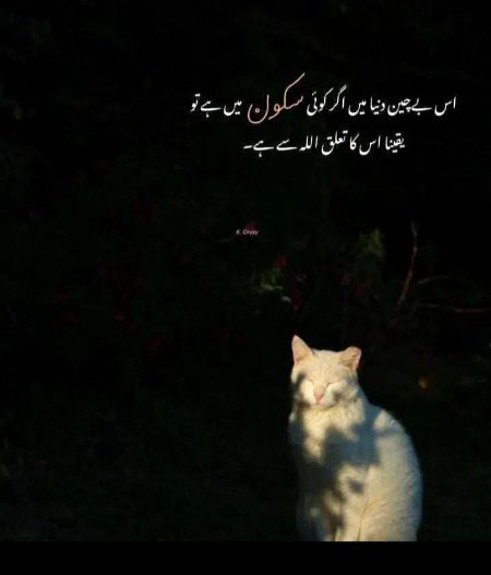 Social media post