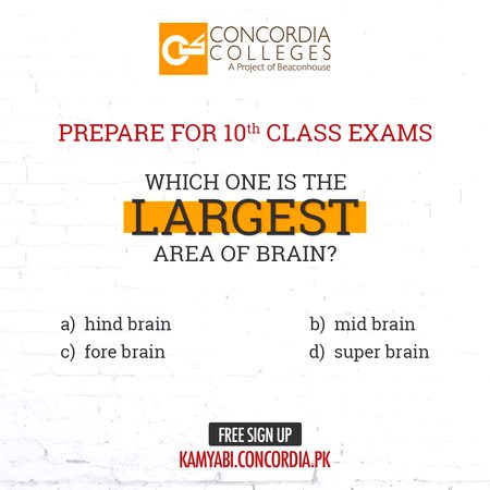 Knowledge Test image