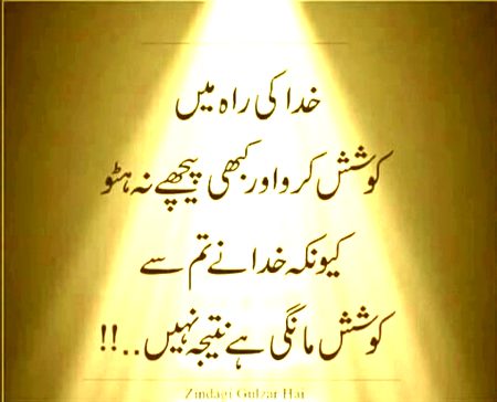 Islamic Quotes image