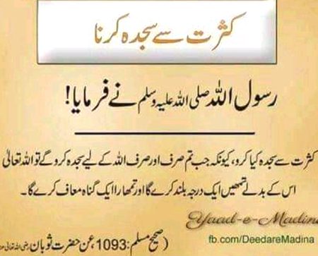 Islamic Quotes image