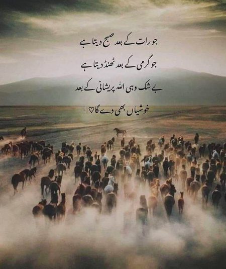 Islamic Quotes image