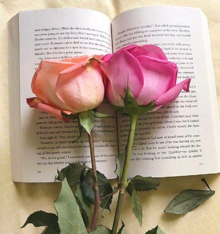 Beautiful Nature image