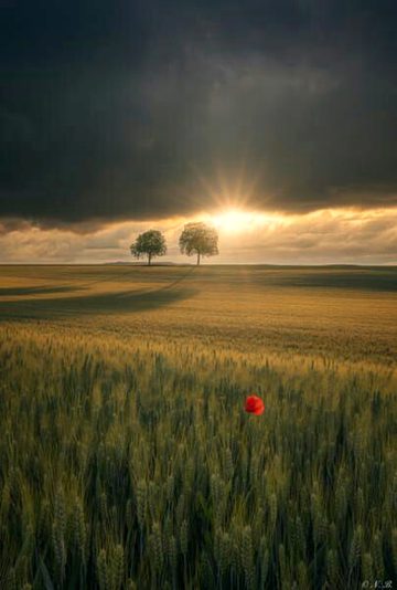 Beautiful Nature image