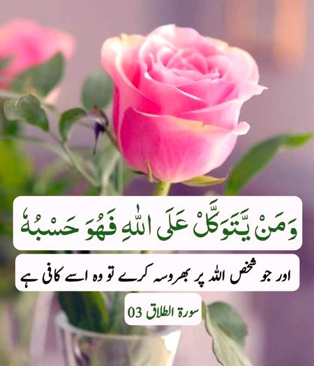 Islamic Quotes image