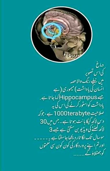 Social media post