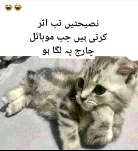 Jokes image