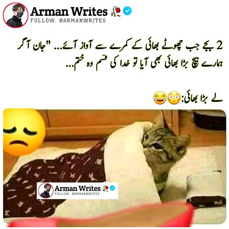 Memes & Satire image