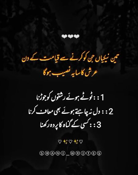 Islamic Quotes image