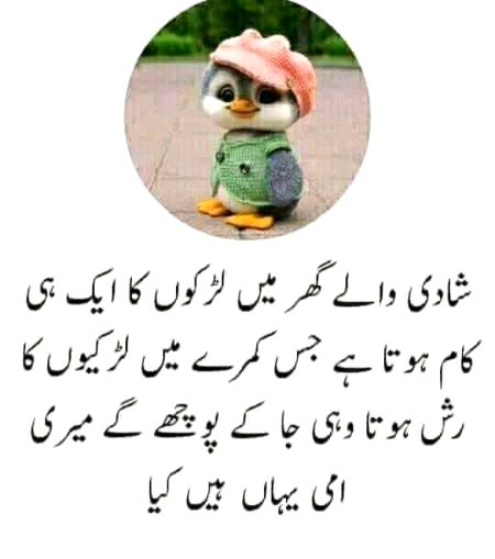 Memes & Satire image