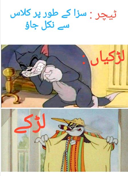 Memes & Satire image