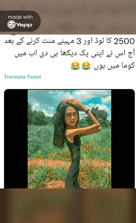 Memes & Satire image