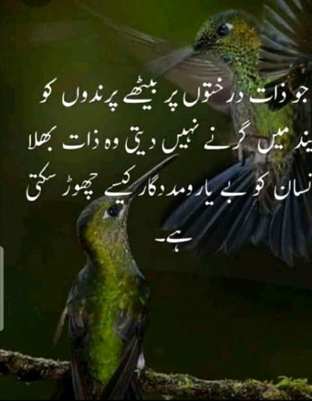 Islamic Quotes image