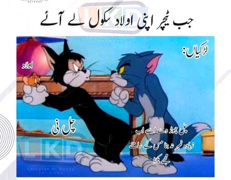 Memes & Satire image