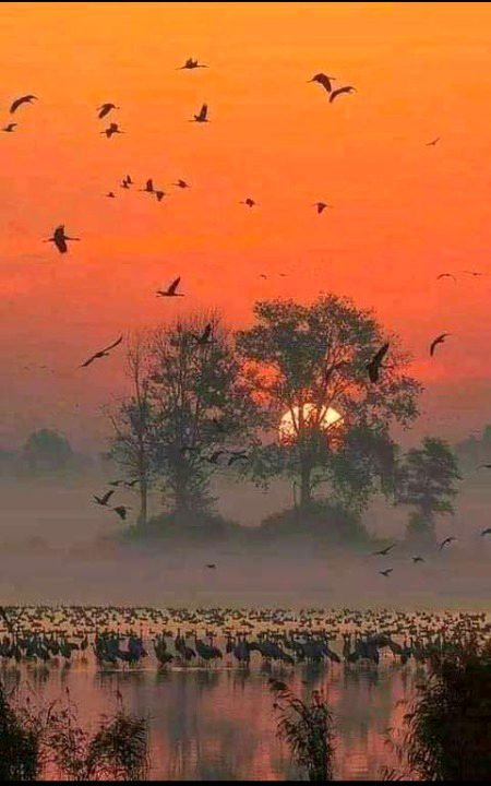 Beautiful Nature image