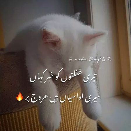 Social media post