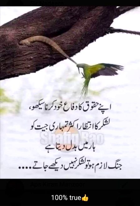 Social media post