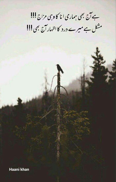 Attitude Poetry image