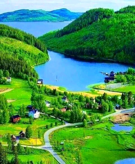 Beautiful Nature image