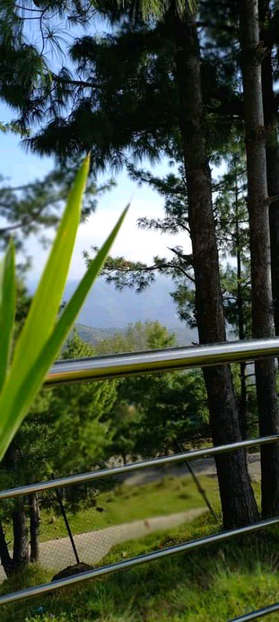 Beautiful Nature image