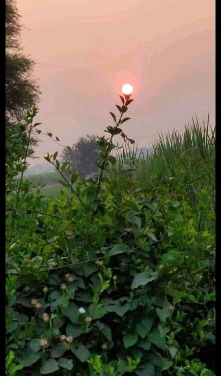 Beautiful Nature image