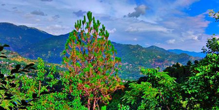 Beautiful Nature image