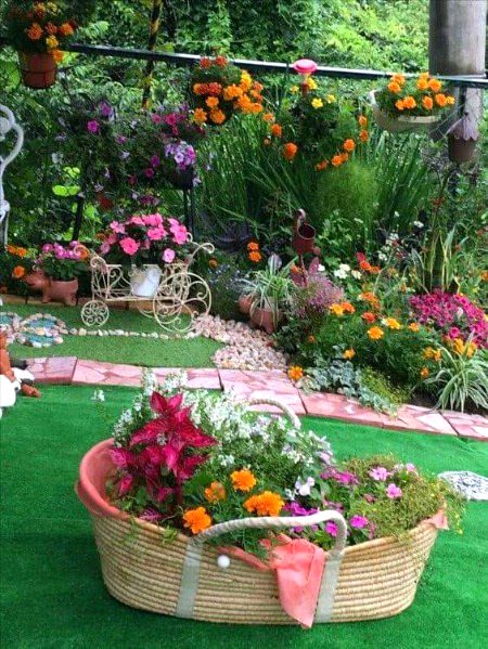 Beautiful Nature image