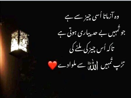 Islamic Quotes image