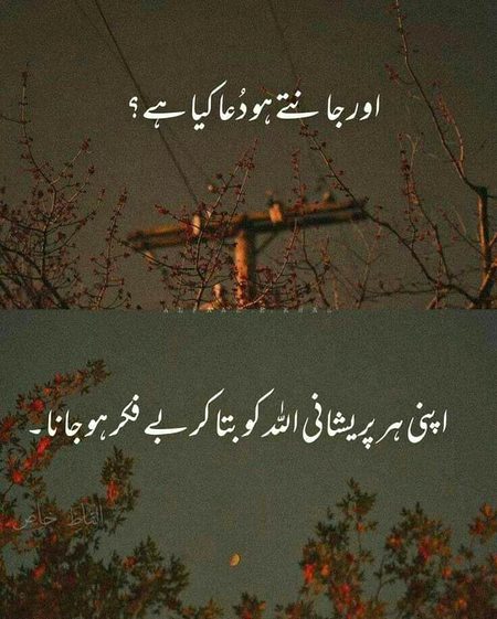 Islamic Quotes image