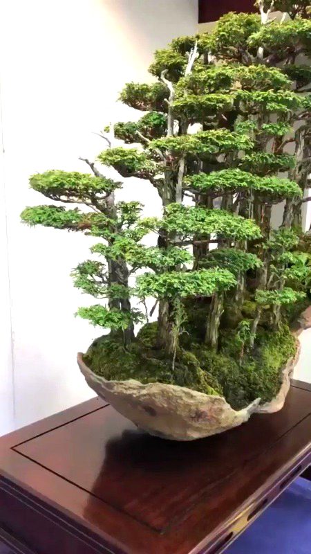 Beautiful Nature image