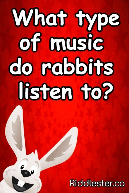 Riddles & Puzzles image