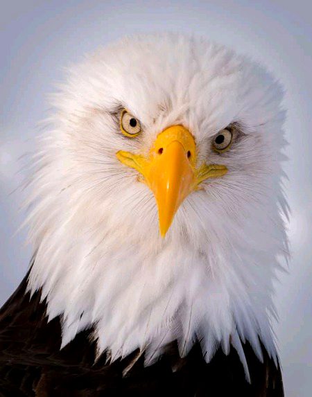 Beautiful Nature image