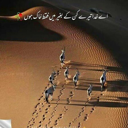 Islamic Quotes image